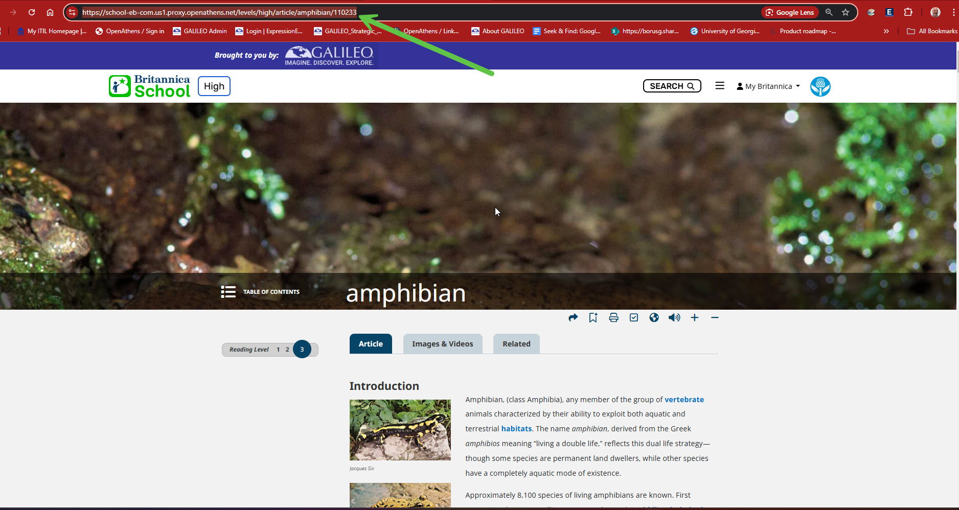 Britannica link capture